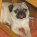 Bob Dupuis - Facebook