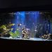 Robert Duryea - Facebook