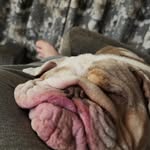 bob dutton - @bobdutton98 - Instagram