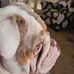 Bob Dutton - Facebook
