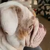 bobdutton488 - @bobdutton488 - TikTok