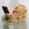 Bob Earl - @bob.earl24 - TikTok