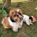 Bob e bela - @bob_e_bela - Instagram