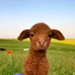 🌻 - @bobe_belle - Instagram
