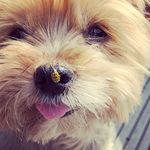 Bob Eck - @bobbyeck - Instagram