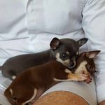 Bob & Edward - @bobandedward - Instagram