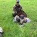 Bobby Ehrman - Facebook