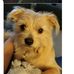 Bob Ellsworth - Facebook