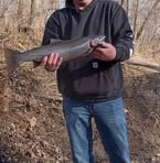Robert Ellsworth - Facebook