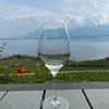 thebobelton9909 - @thebobelton9909 - TikTok