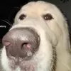 Trey Bobeng - @treybobeng30 - TikTok