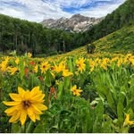 Bob Ennis - @jrennis777 - Instagram