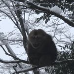 Bob ericson - @bo.kesen - Instagram