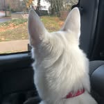 Bob Ervin - @heinedrinker - Instagram