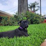 Bob Esposito - @bob.esposito - Instagram