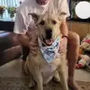 Bob Eyre - @bob.eyre - TikTok