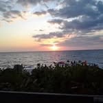 Bob Feeney - @bobfeeney3 - Instagram