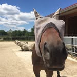 Barbara Leinfelder - @bobleinfelder - Instagram