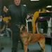 Bob Ferrara - Facebook
