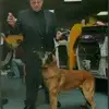 bobferrara240 - @bobferrara240 - TikTok