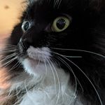 Bob Field - @someofwhatworked4me - Instagram