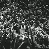 bob fields - @bob.fields8 - TikTok