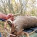 Bobby Bobby Felkins - Facebook