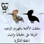 Bob Fms - Facebook