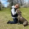 Bob Forsyth - @k9connection - TikTok