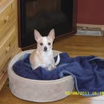 Pat N Bob Forsyth - @patnbobforsyth - Instagram
