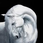 Bob Fox - @bob.a.fox - Instagram