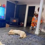 Bob Frechette - @bob.frechette.12 - Instagram