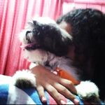 bob - @_bob_fred_e_chimena - Instagram