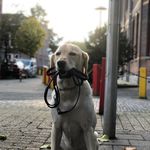 Bobby - @bobfred_h - Instagram
