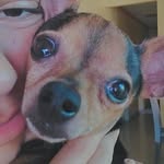 Bob - @bob.freitas2016 - Instagram