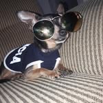 Bob Freire - @bob_freire20 - Instagram