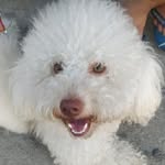 Bob Freire - @bob.freire - Instagram