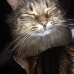 Bob Freitag - @freitag.bob - Instagram