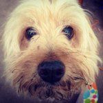 @bobfryer - Instagram