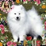 Bob Gaita - @bobgaita - Instagram