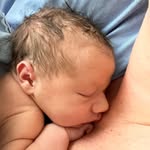 Bob Gardiner - @bobbity_75 - Instagram
