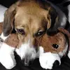bobgarrity586 - @bobgarrity586 - TikTok