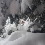 Bob Germain - @papa_germ - Instagram