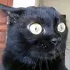 GermanBob88 - @germanbob88 - TikTok