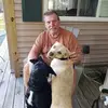 bobgillenkirk - @bobgillenkirk - TikTok