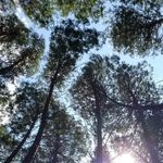 Bob gob - @bobert_gobert - Instagram