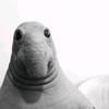 bobgod - @jrbrink2012 - TikTok