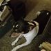 Bob Goldsmith - Facebook