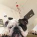 Bob Gonzales - Facebook