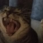 Bob Goodrich - @bob.goodrich.716 - Instagram